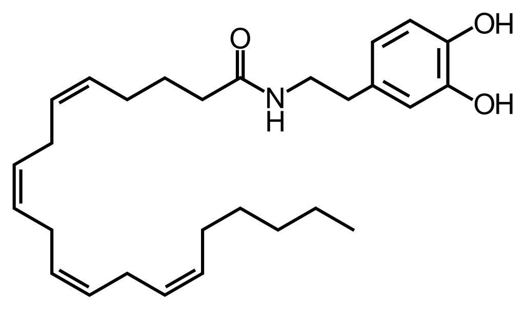 Struktur von N-Arachidonoyldopamine