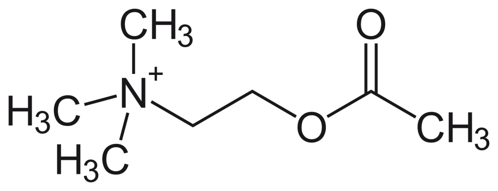 Acetylcholin