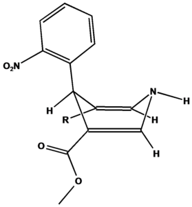 Die Struktur der Dihydropyridine
