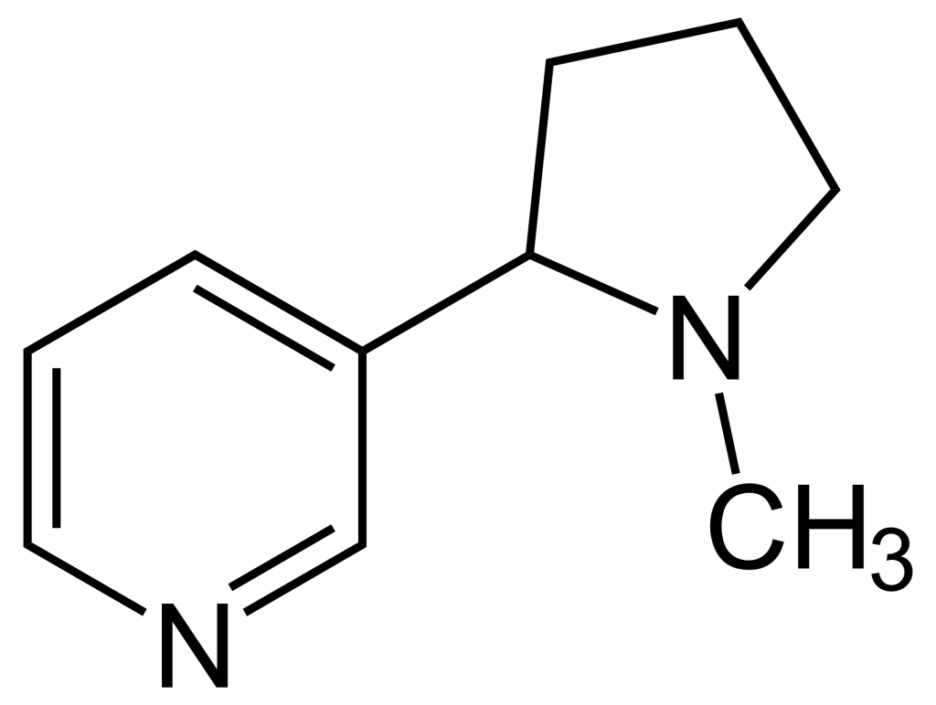 Struktur von Nicotin