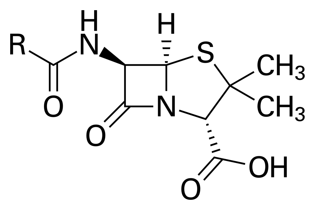 Grundstruktur der Penicilline