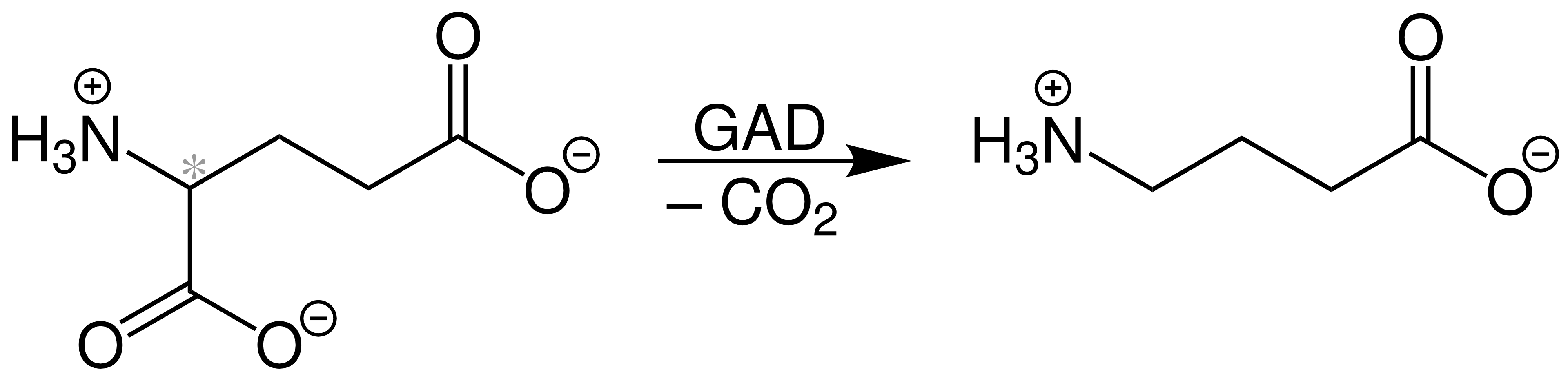 Аминомасляная кислота формула. Γ-аминомасляная кислота. Аминомасляная кислота HCL. Гамма-аминомасляная кислота структурная формула.