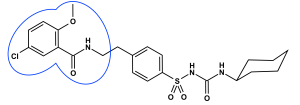 Struktur von Glibenclamid mit Benzamidoteilstuktur.